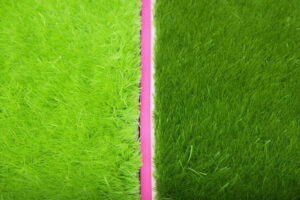 Grass vs. Hard Courts: Key Differences