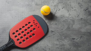 JOOLA Essentials Pickleball Paddle